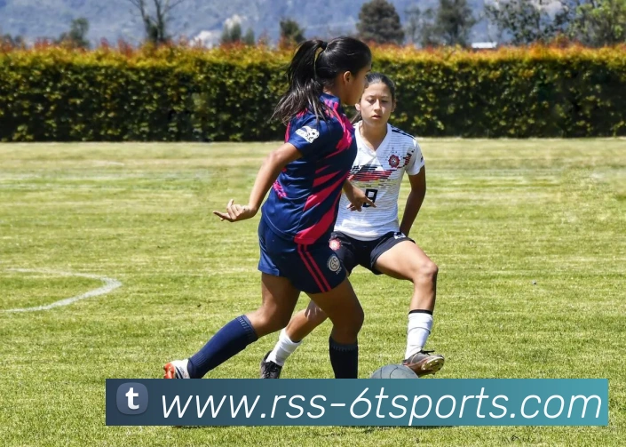 App Interface Preview