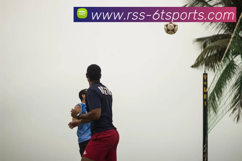 6T体育APP 封面图